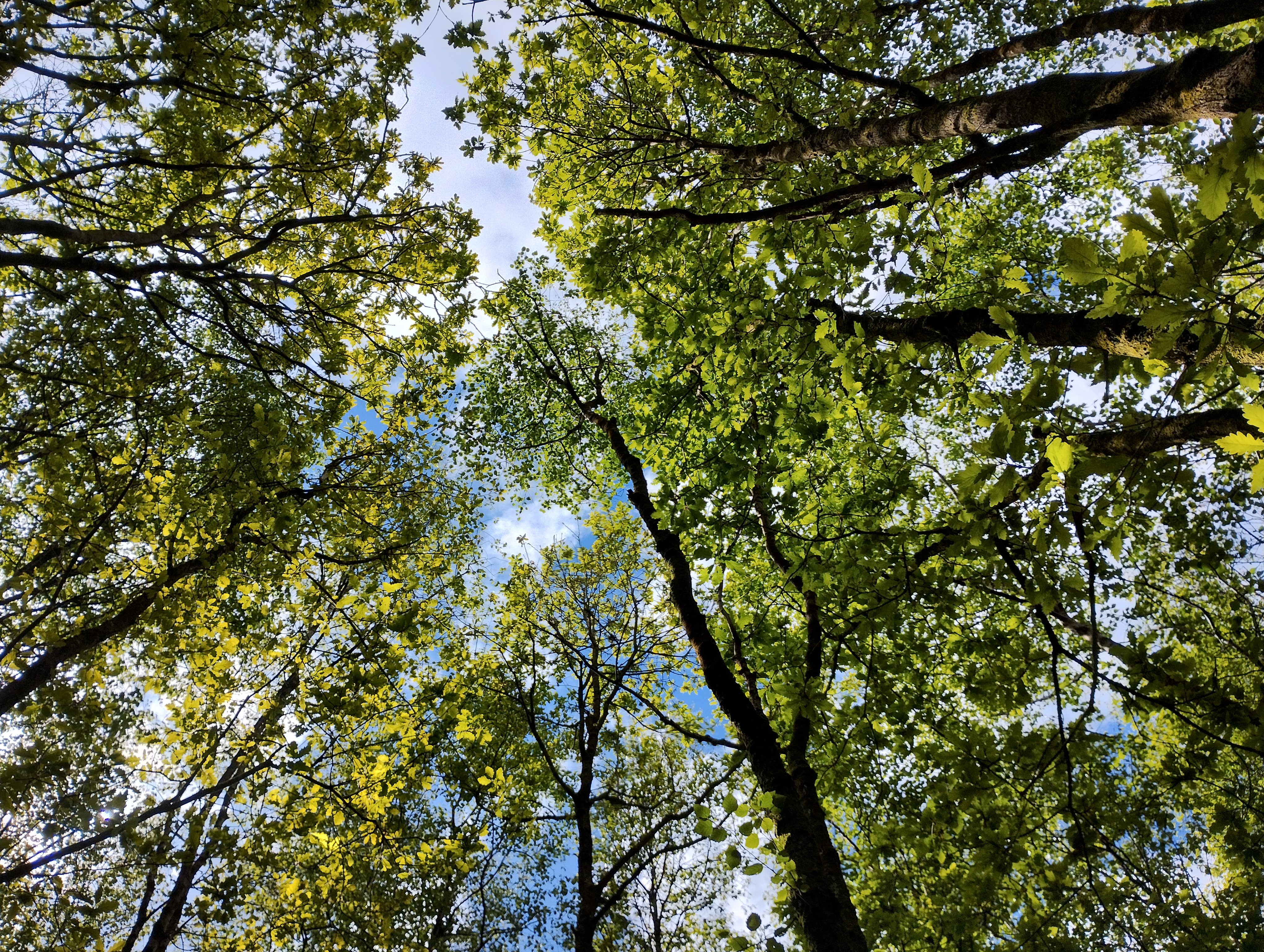 Friends of Colden Clough