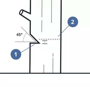 Illustration showing the cuts made when felling small trees